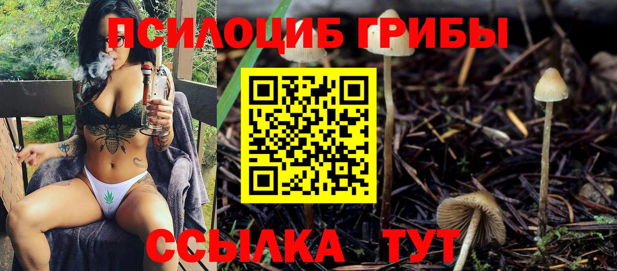 Галлюциногенные грибы Magic Shrooms Каменка